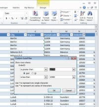Filter function in Excel; small business software