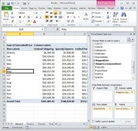 PivotTables in Excel; small business software