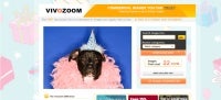 VivoZoom.com; small business marketing, Web tool