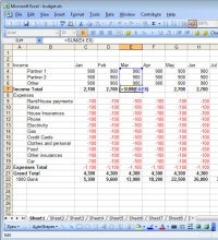 working with formulas in Excel; small business software