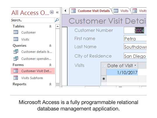 4 - Microsoft Access